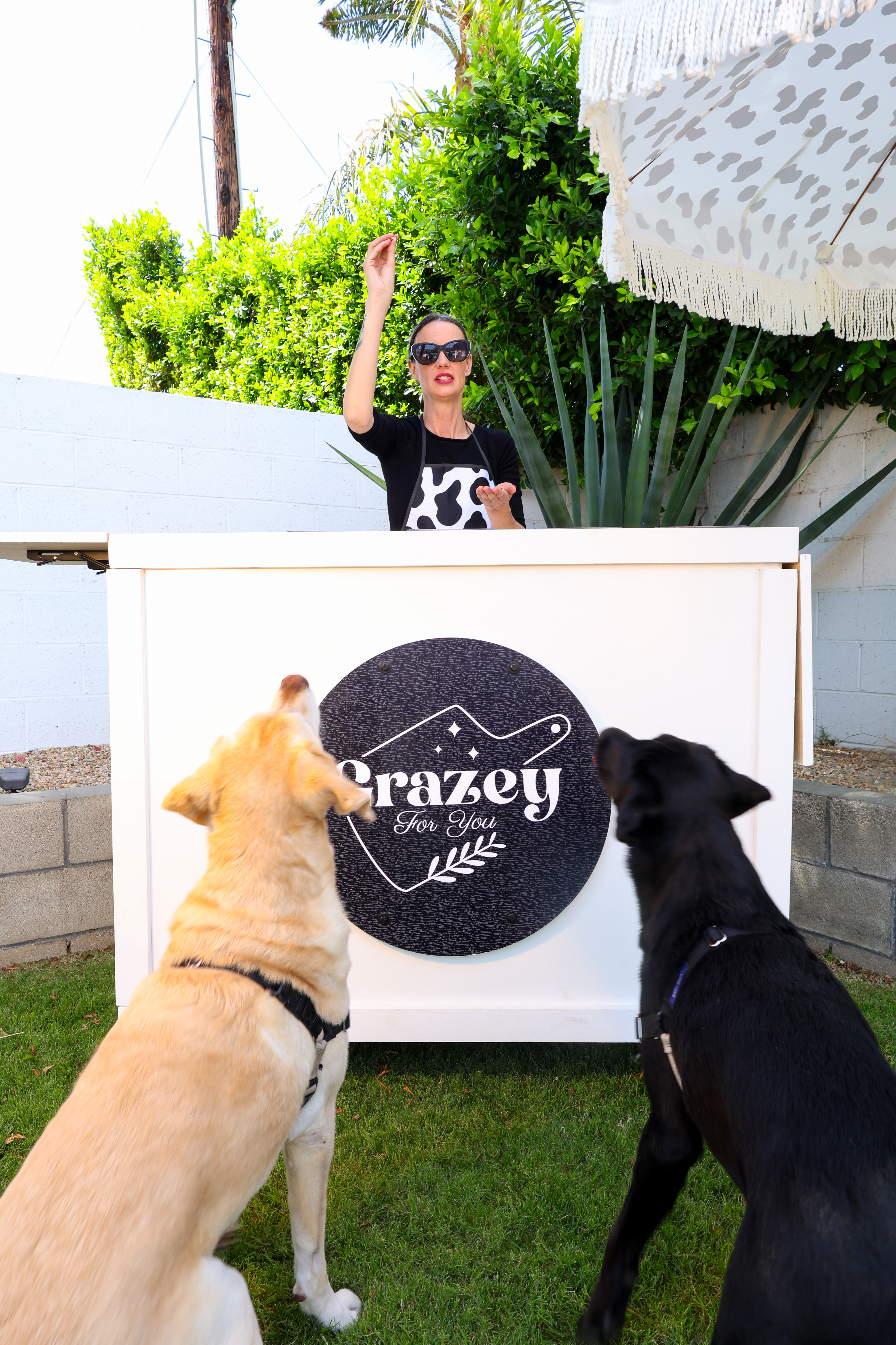 Barkcuterie - Dog-Friendly Charcuterie